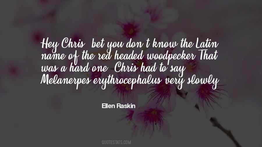 Ellen Raskin Quotes #1494544