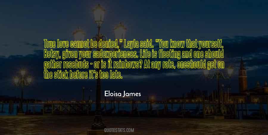 Eloisa James Quotes #578753