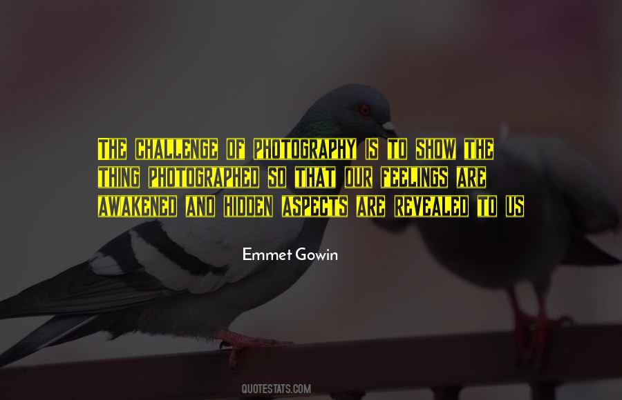 Emmet Gowin Quotes #1497025