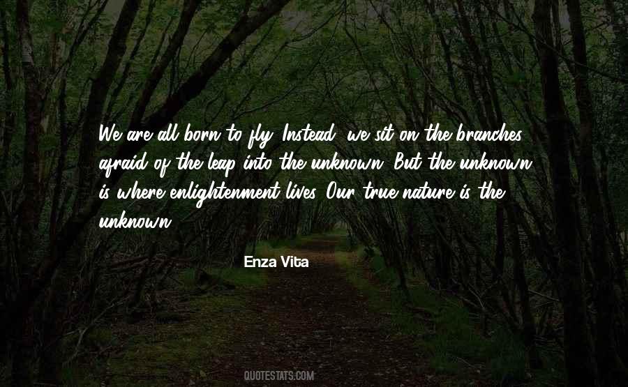 Enza Vita Quotes #1602784