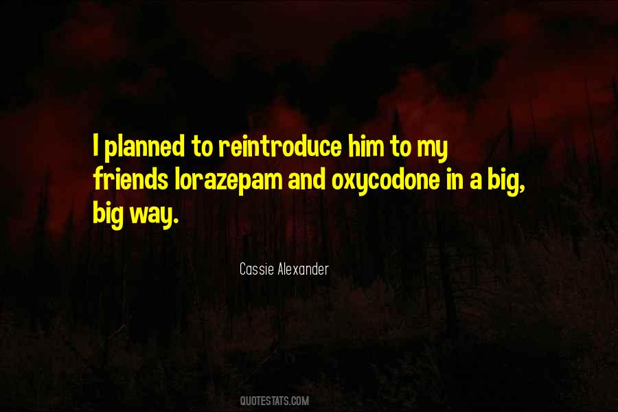 Quotes About Oxycodone #590985