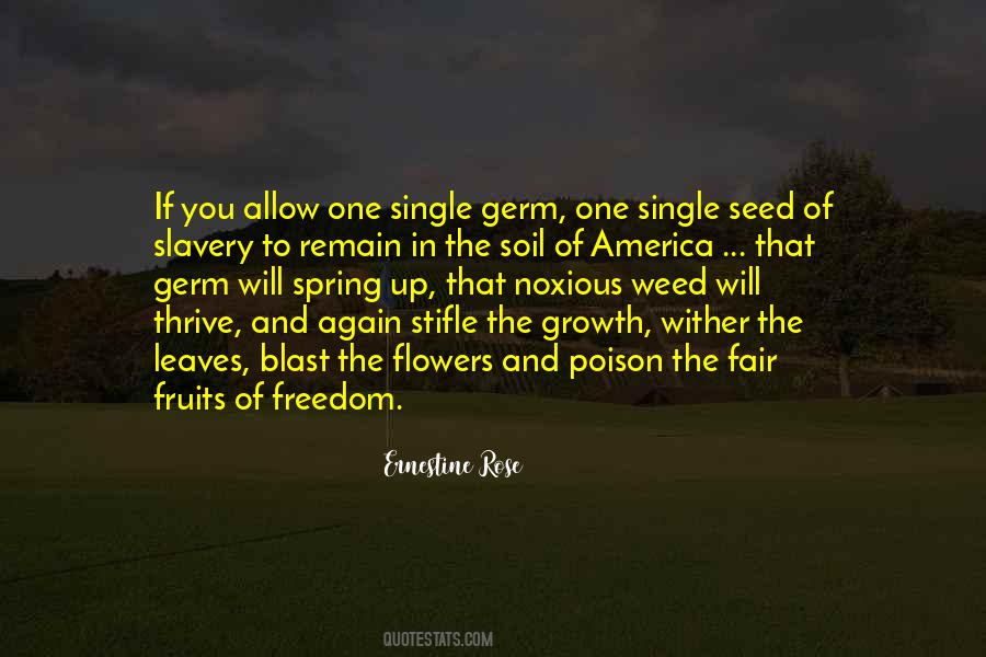 Ernestine Rose Quotes #858834