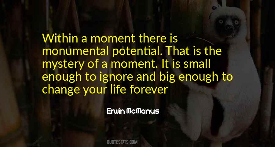 Erwin Mcmanus Quotes #613390