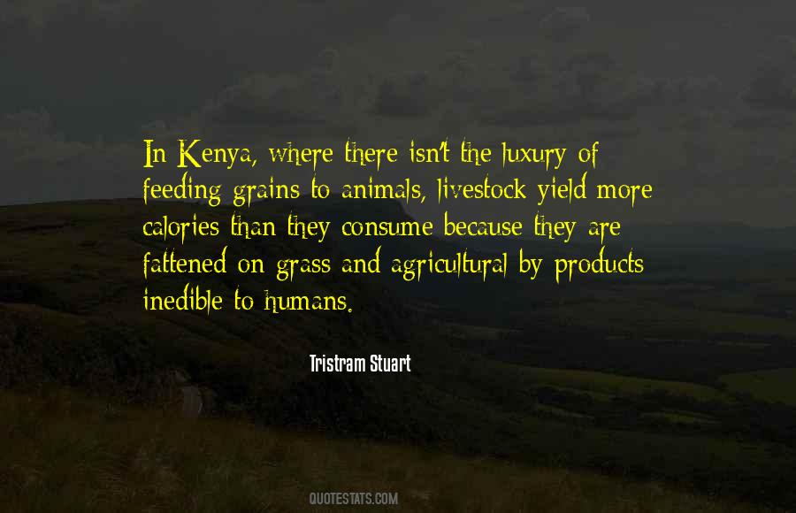 Quotes About Feeding Animals #1642374