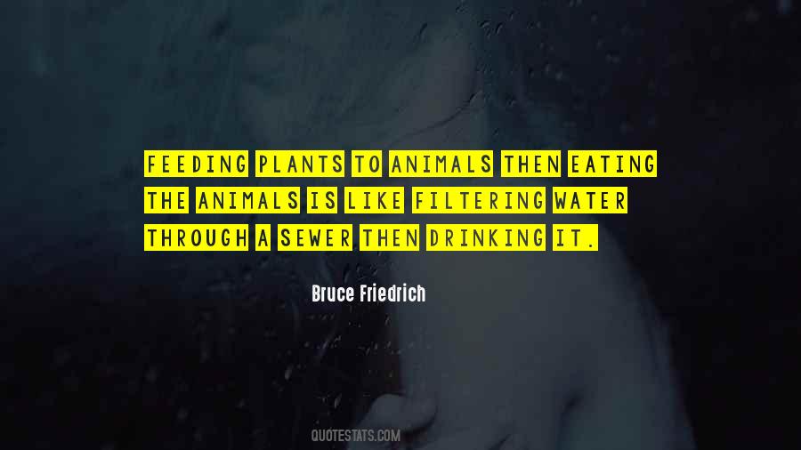 Quotes About Feeding Animals #623256