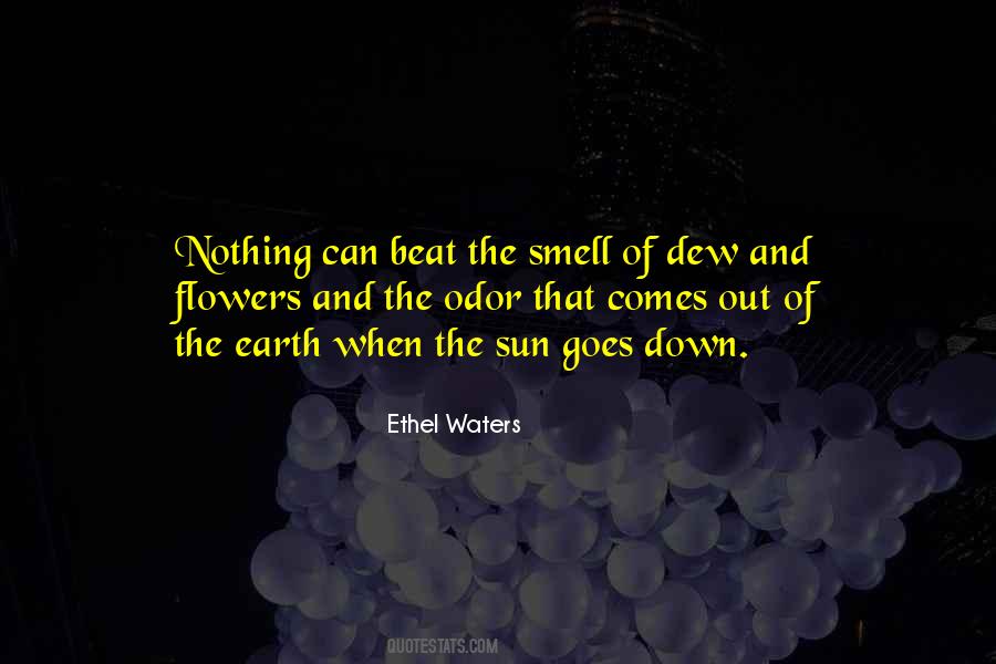 Ethel Waters Quotes #709757