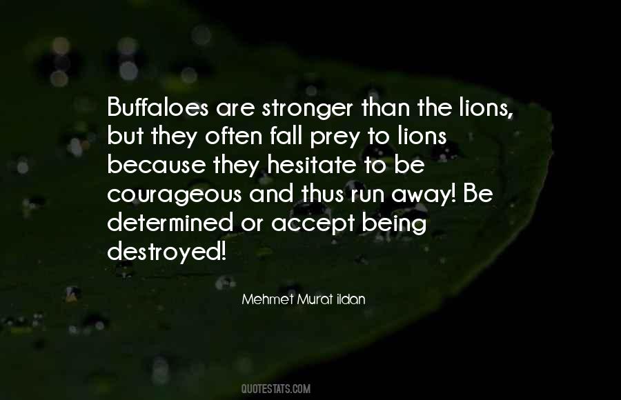 Quotes About Being Determined #750948