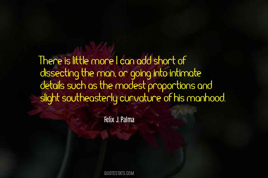 Felix J Palma Quotes #123091