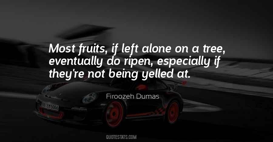 Firoozeh Dumas Quotes #1204733