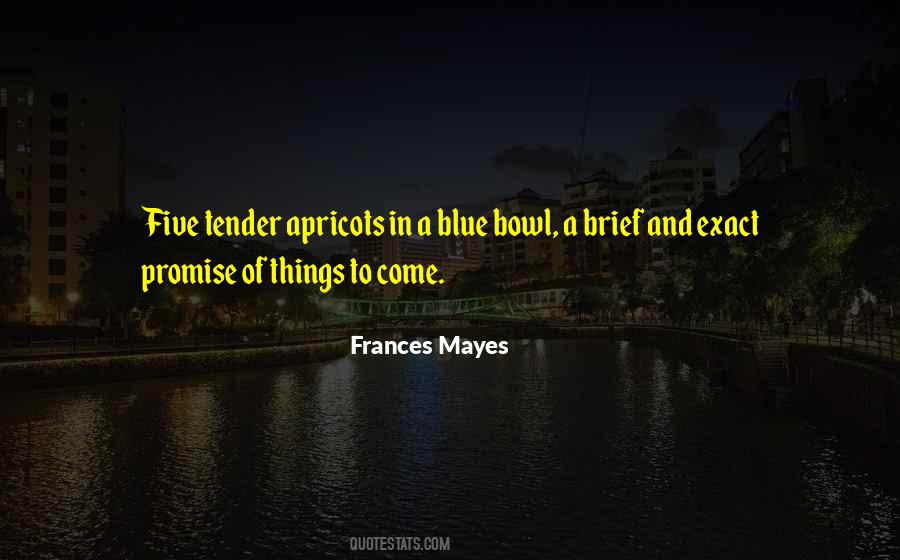 Frances Mayes Quotes #920244