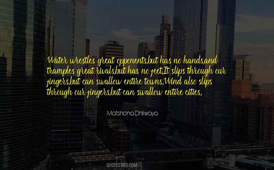 Francis Ouimet Quotes #839298