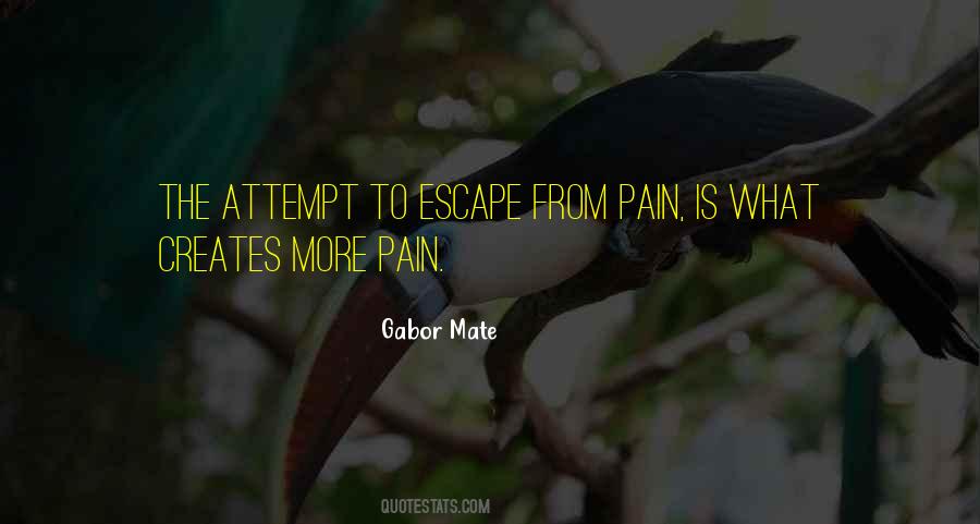 Gabor Mate Quotes #358487