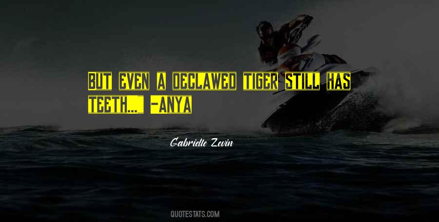 Gabrielle Zevin Quotes #283194