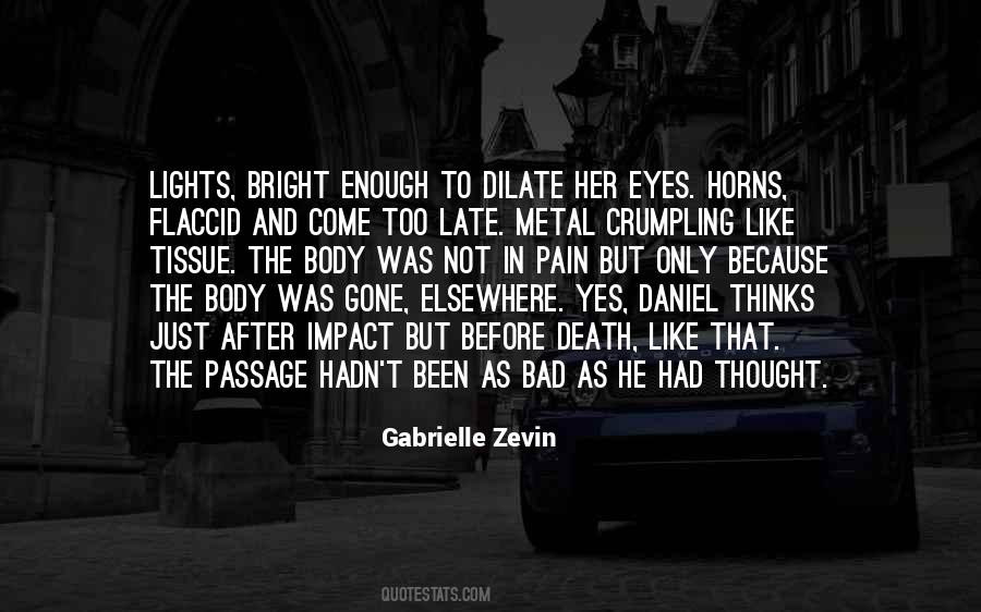 Gabrielle Zevin Quotes #443041