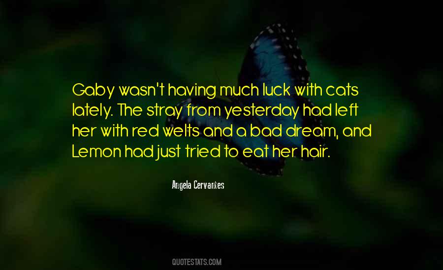 Gaby Quotes #113877
