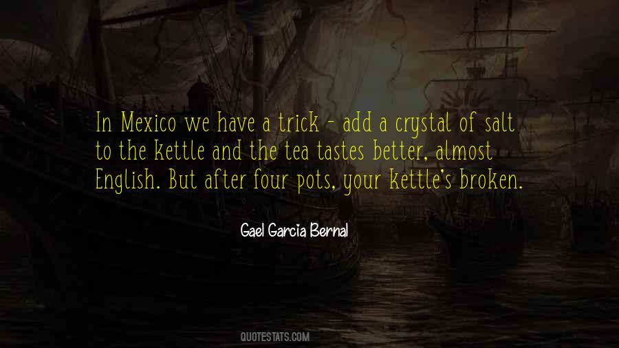 Gael Garcia Bernal Quotes #61241