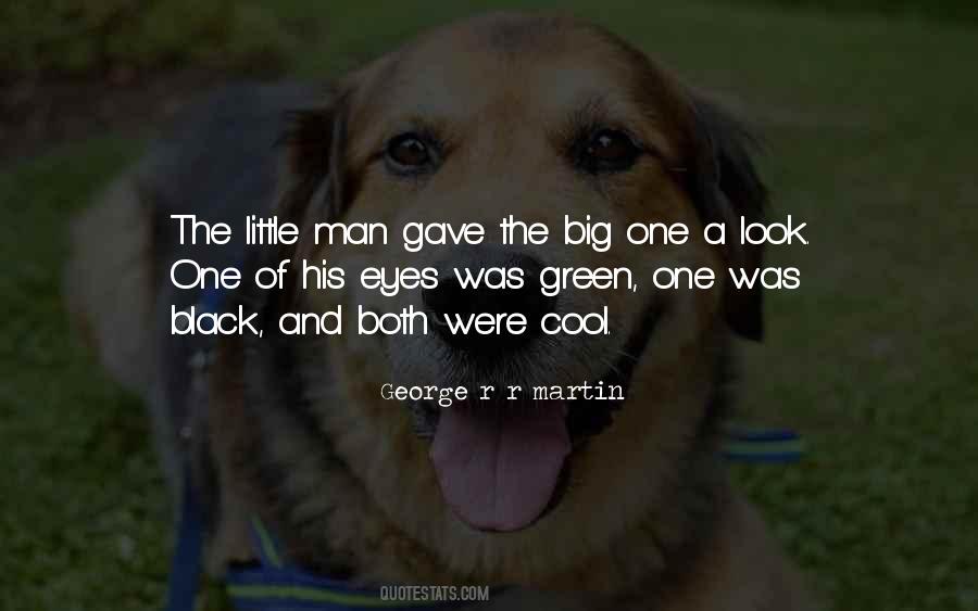 Quotes About His Green Eyes #912094