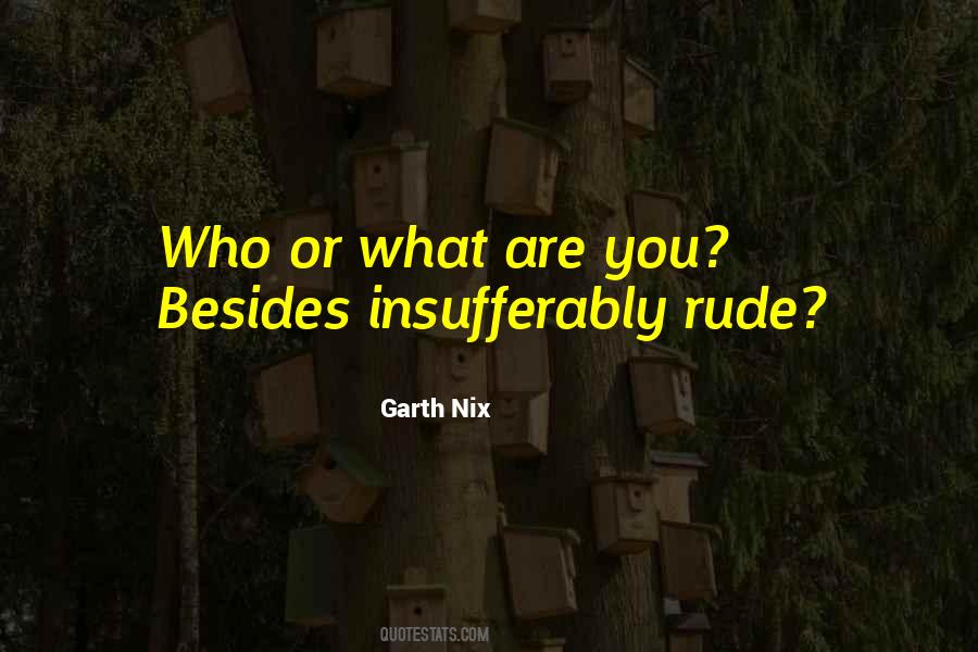 Garth Nix Quotes #162411