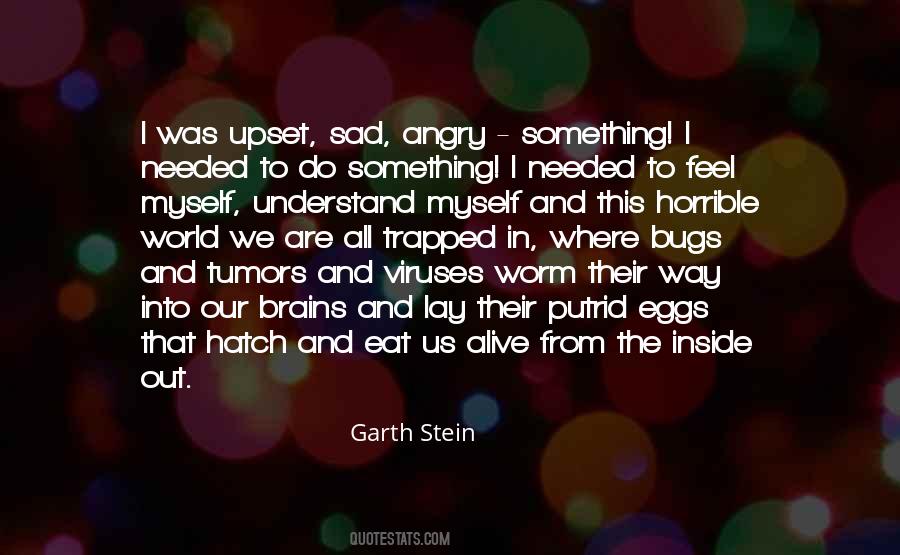 Garth Stein Quotes #605039