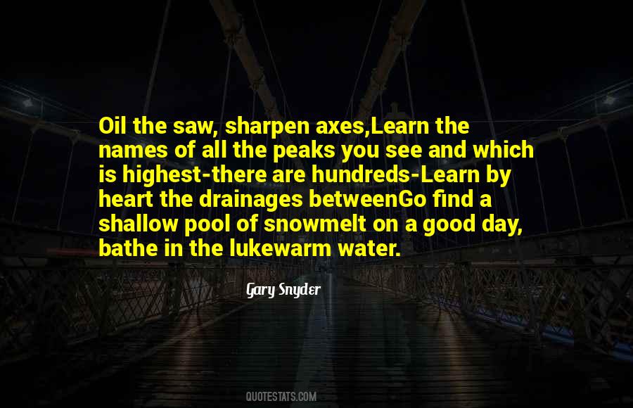 Gary Snyder Quotes #418313