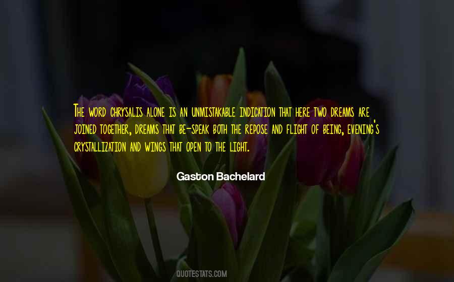 Gaston Bachelard Quotes #959349