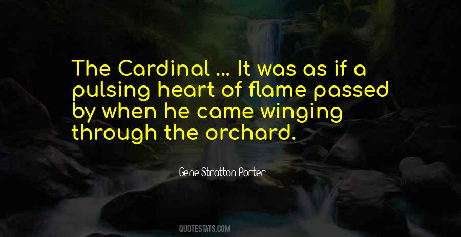 Gene Stratton Porter Quotes #1669120