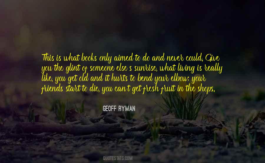 Geoff Ryman Quotes #1177782