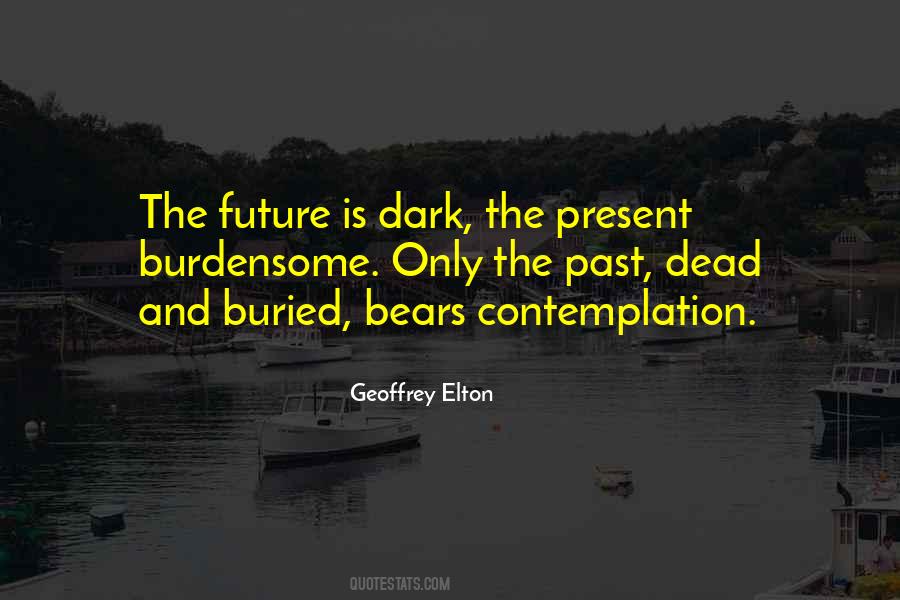 Geoffrey Elton Quotes #1724143