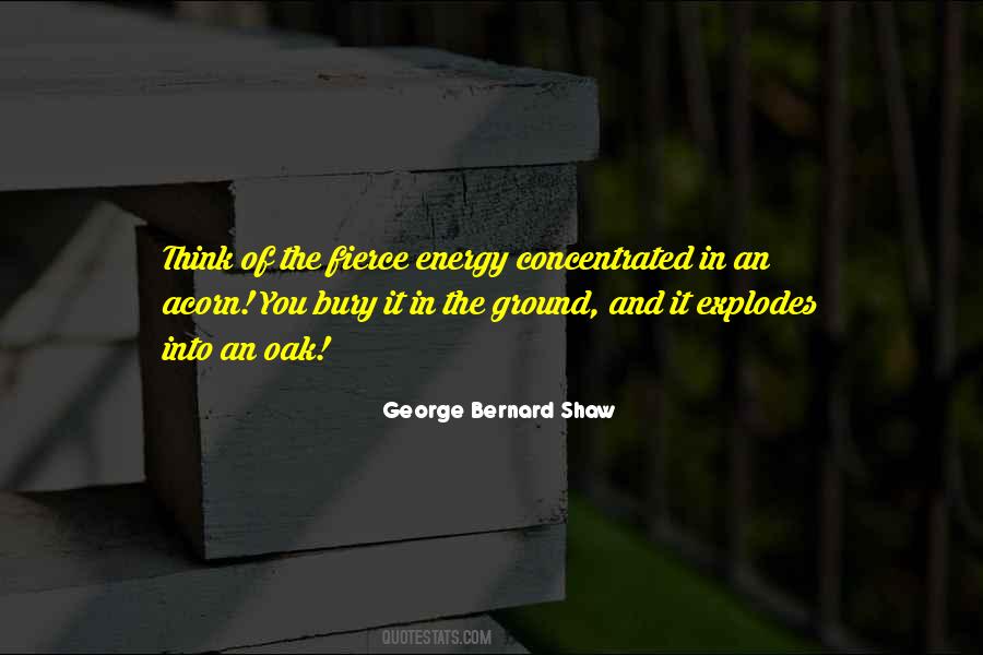 George Bernard Shaw Quotes #63914