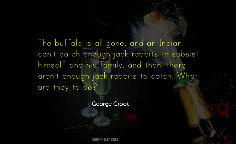 George Crook Quotes #894616