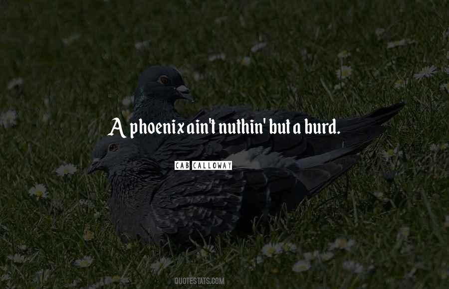 Quotes About A Phoenix #255693