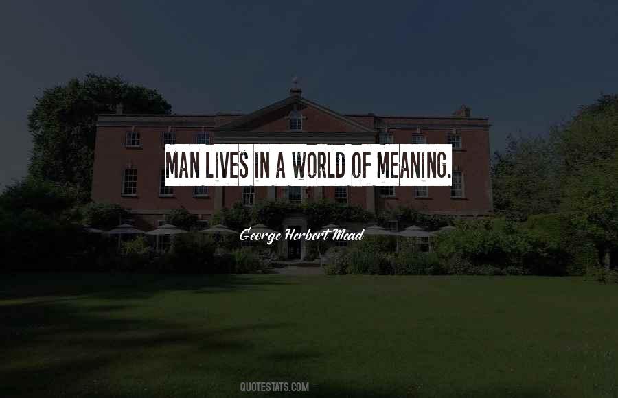 George Herbert Mead Quotes #381570