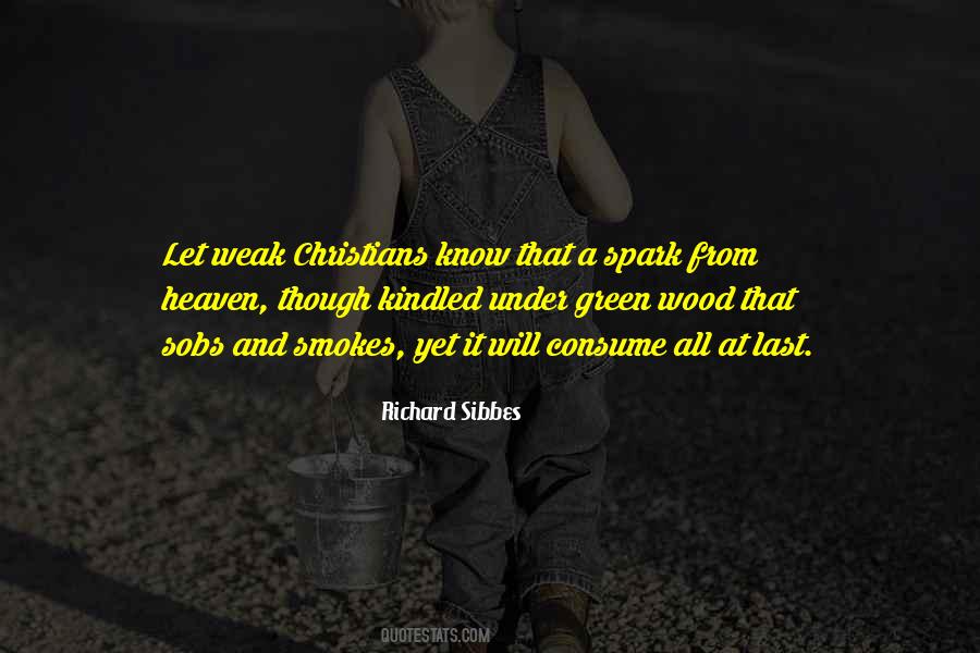 George Sterling Quotes #1605124