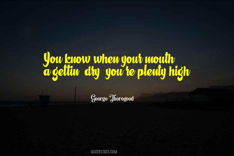 George Thorogood Quotes #358557