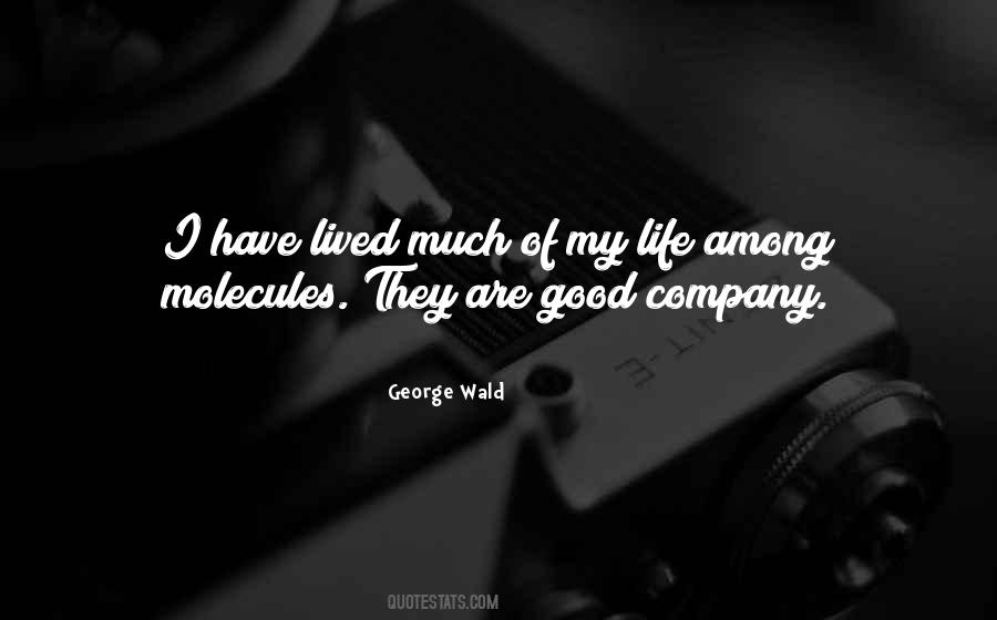George Wald Quotes #780354