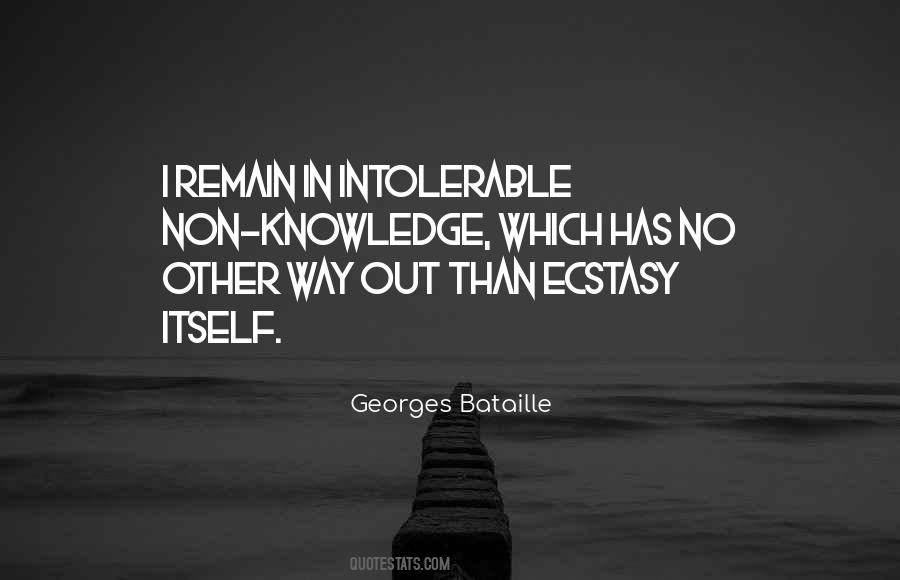 Georges Bataille Quotes #446269