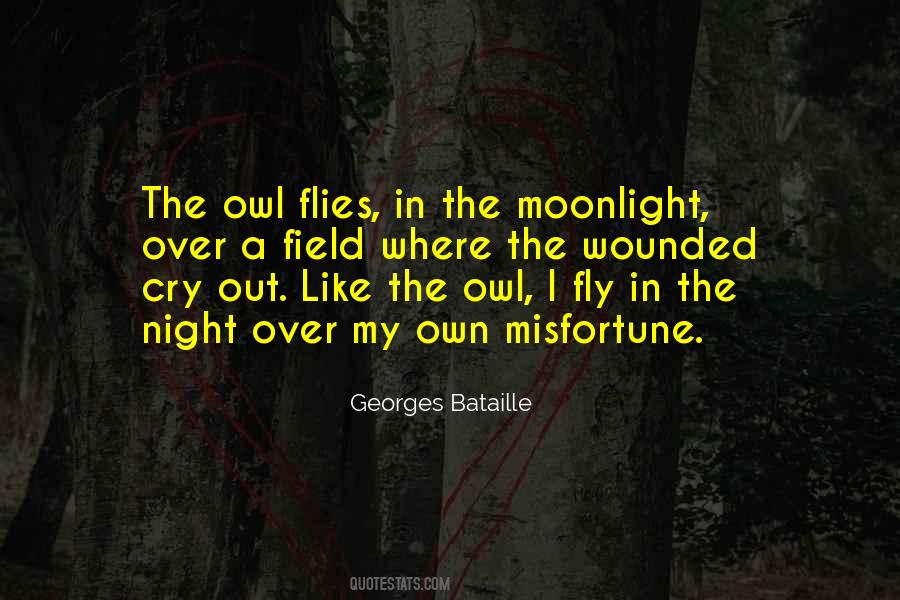 Georges Bataille Quotes #769894