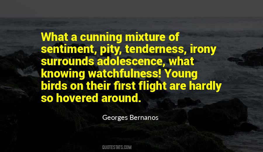 Georges Bernanos Quotes #288443