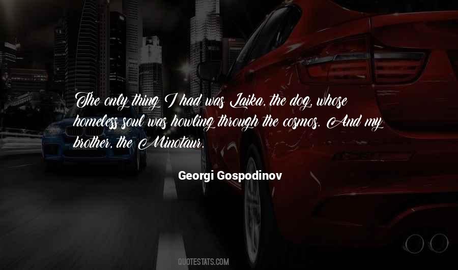 Georgi Gospodinov Quotes #1806696