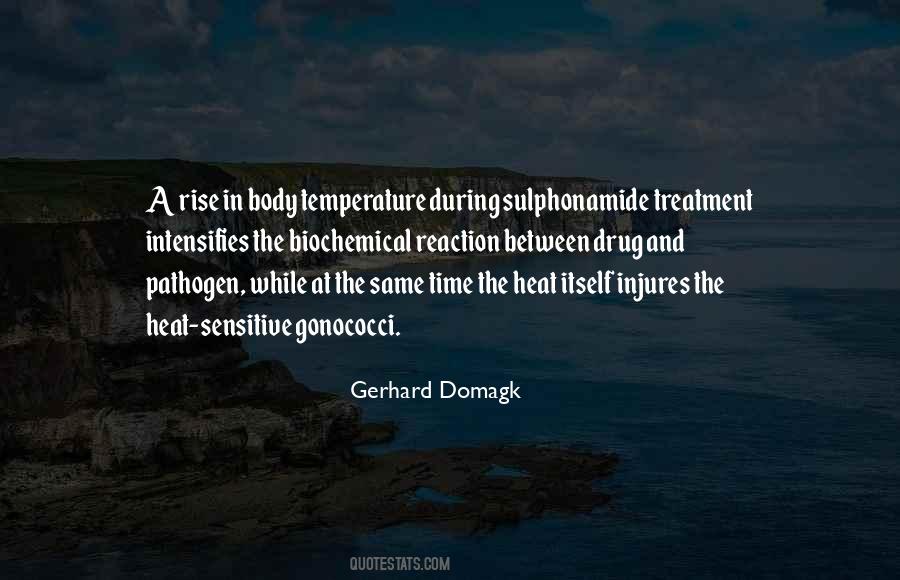 Gerhard Domagk Quotes #519871