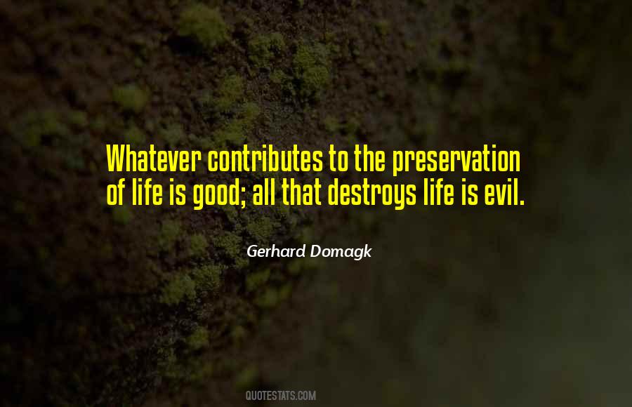 Gerhard Domagk Quotes #52166