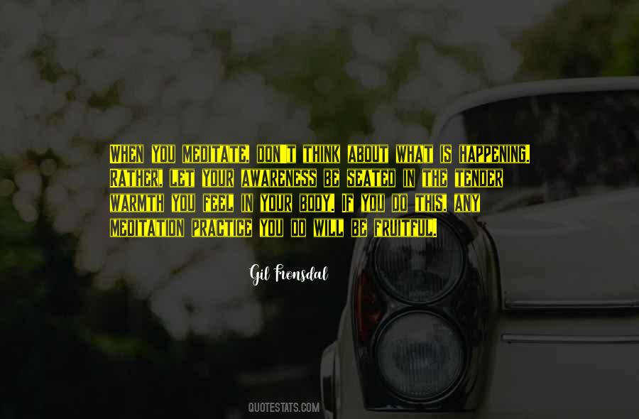 Gil Fronsdal Quotes #49137
