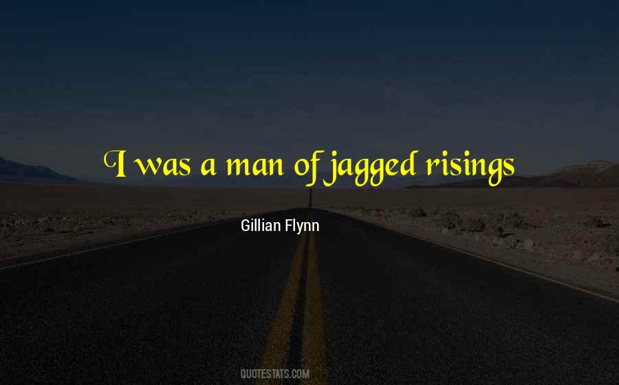 Gillian Flynn Quotes #242981