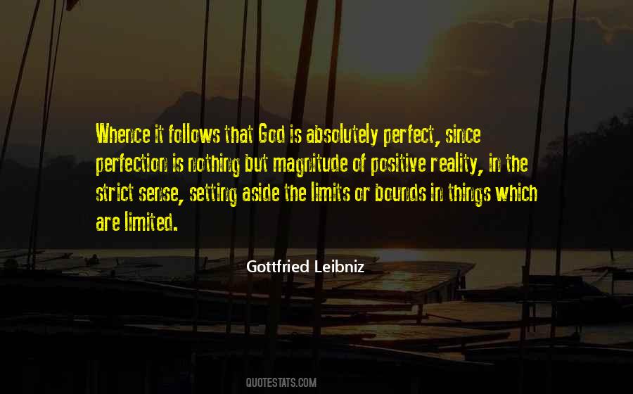 Gottfried Leibniz Quotes #1156703