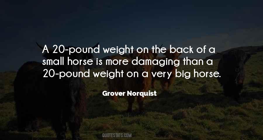 Grover Norquist Quotes #1779967