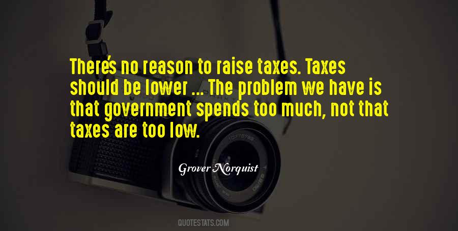 Grover Norquist Quotes #509894