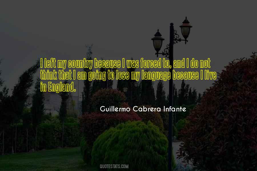 Guillermo Cabrera Infante Quotes #1349348