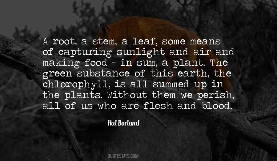 Hal Borland Quotes #440103