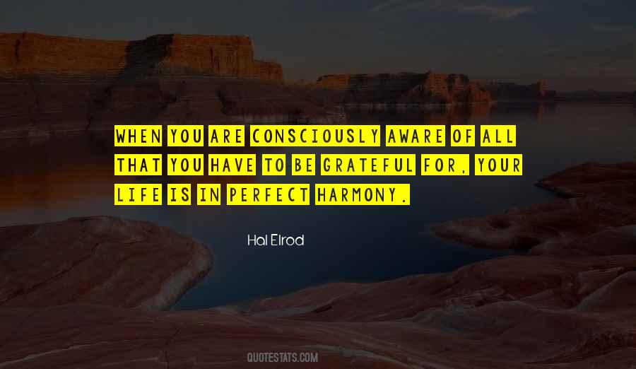 Hal Elrod Quotes #584931