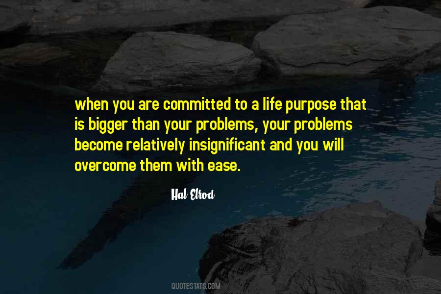 Hal Elrod Quotes #694547